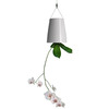 Upside-Down Sky Planter
