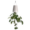 Upside-Down Sky Planter