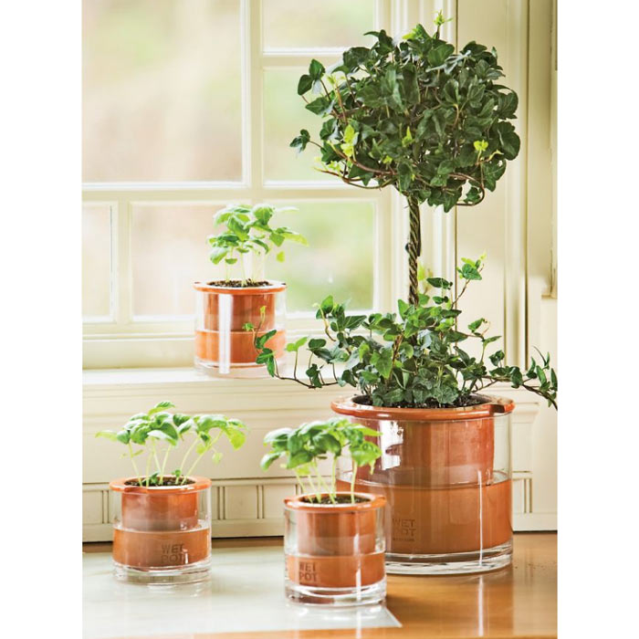 Wet Pots Allows Plants to Water Themselves The Green Head
