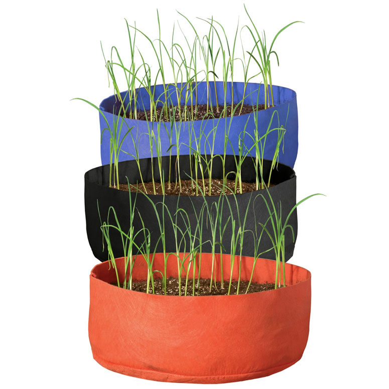 Garlic Grow Bags The Green Head