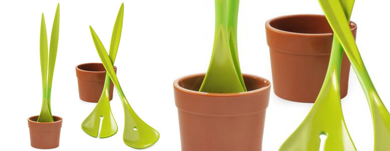 Salad Plant - Potted Salad Servers