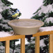 Heated Bird Bath With Tilt Mount