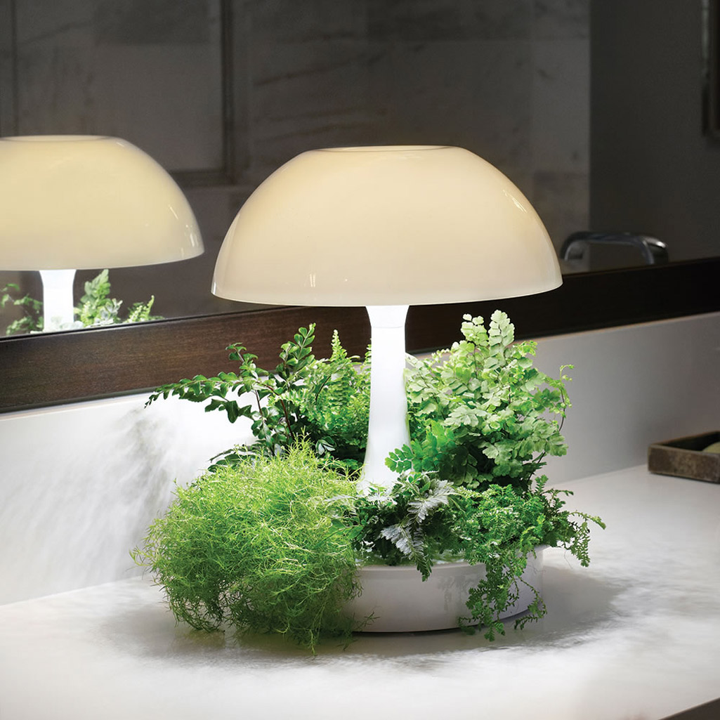 Ambienta Living Table Lamp, Grow Light Table Lamp