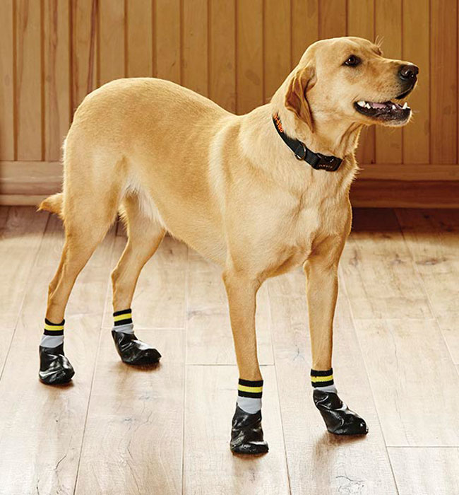 Pupteck Double Side Anti Slip Dog Socks, Indoor Dog Booties For Hardwood Floors