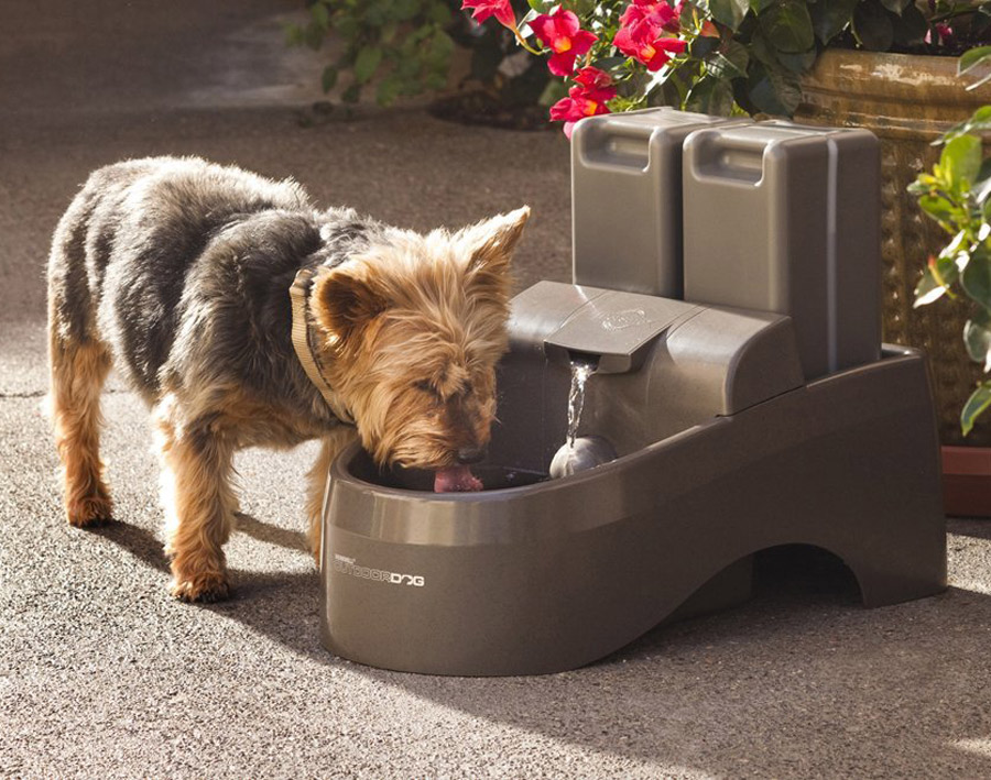 Drinkwell Outdoor Dog Fountain, Drinkwell Outdoor Pet Fountain