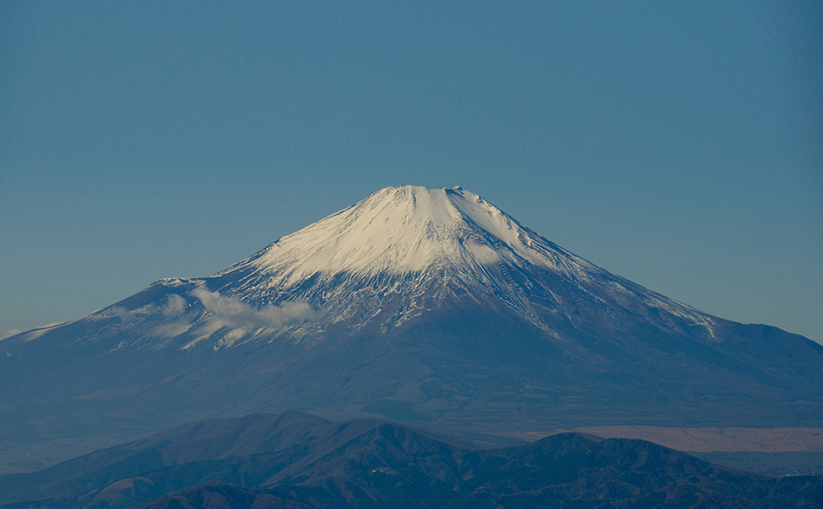 Fujiyama - Mount Fuji Sauce Dish | The Green Head