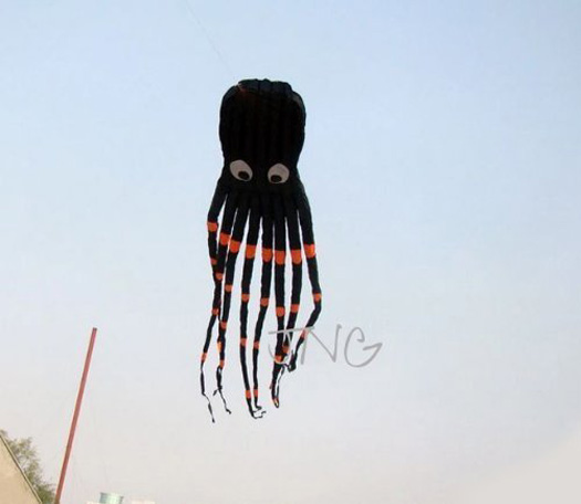 26ft 8m 3D Huge Octopus Power Sport Soft Parafoil Kite Outdoor Toy Single Line