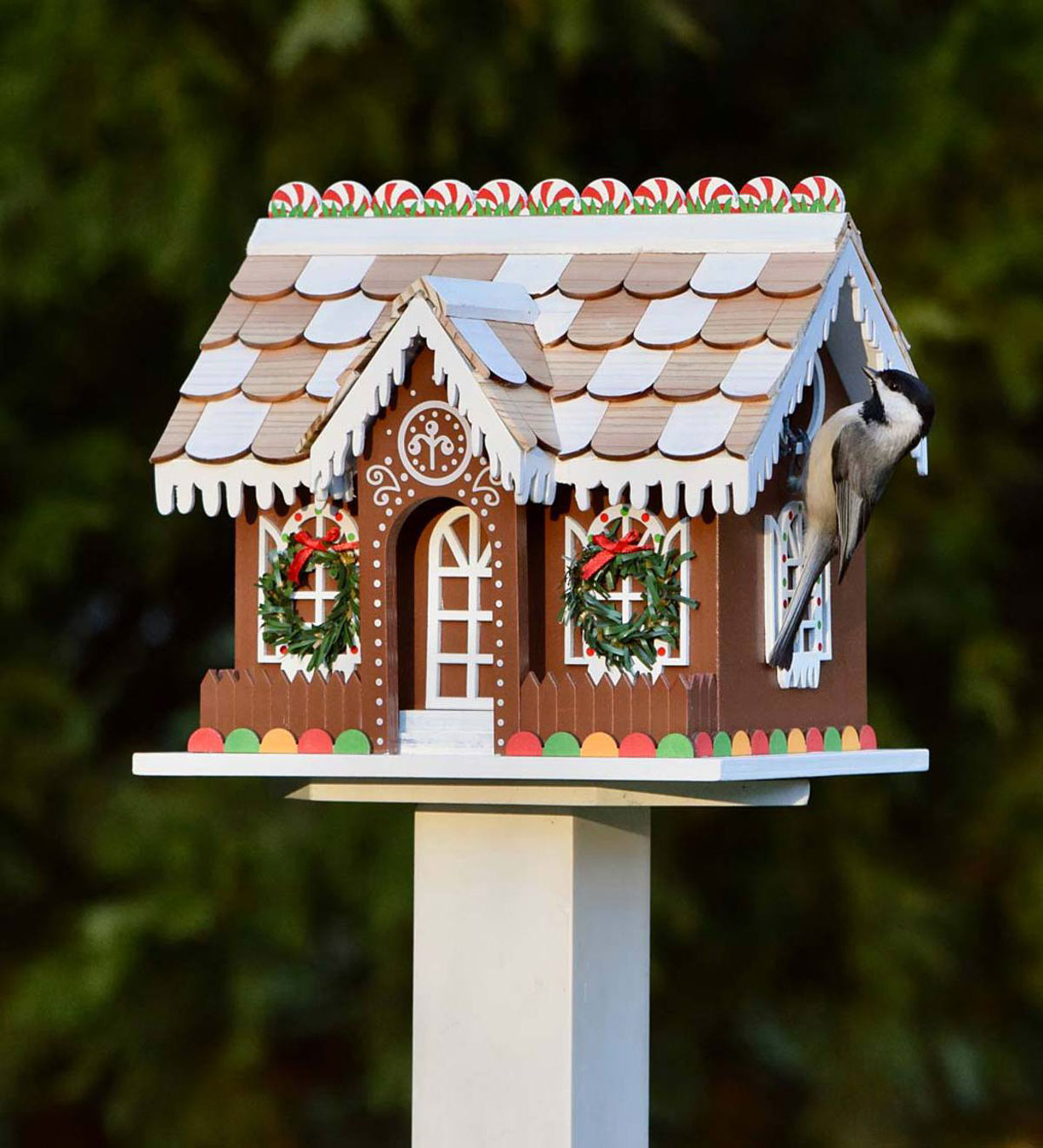 gingerbread-cottage-birdhouse-1.jpg