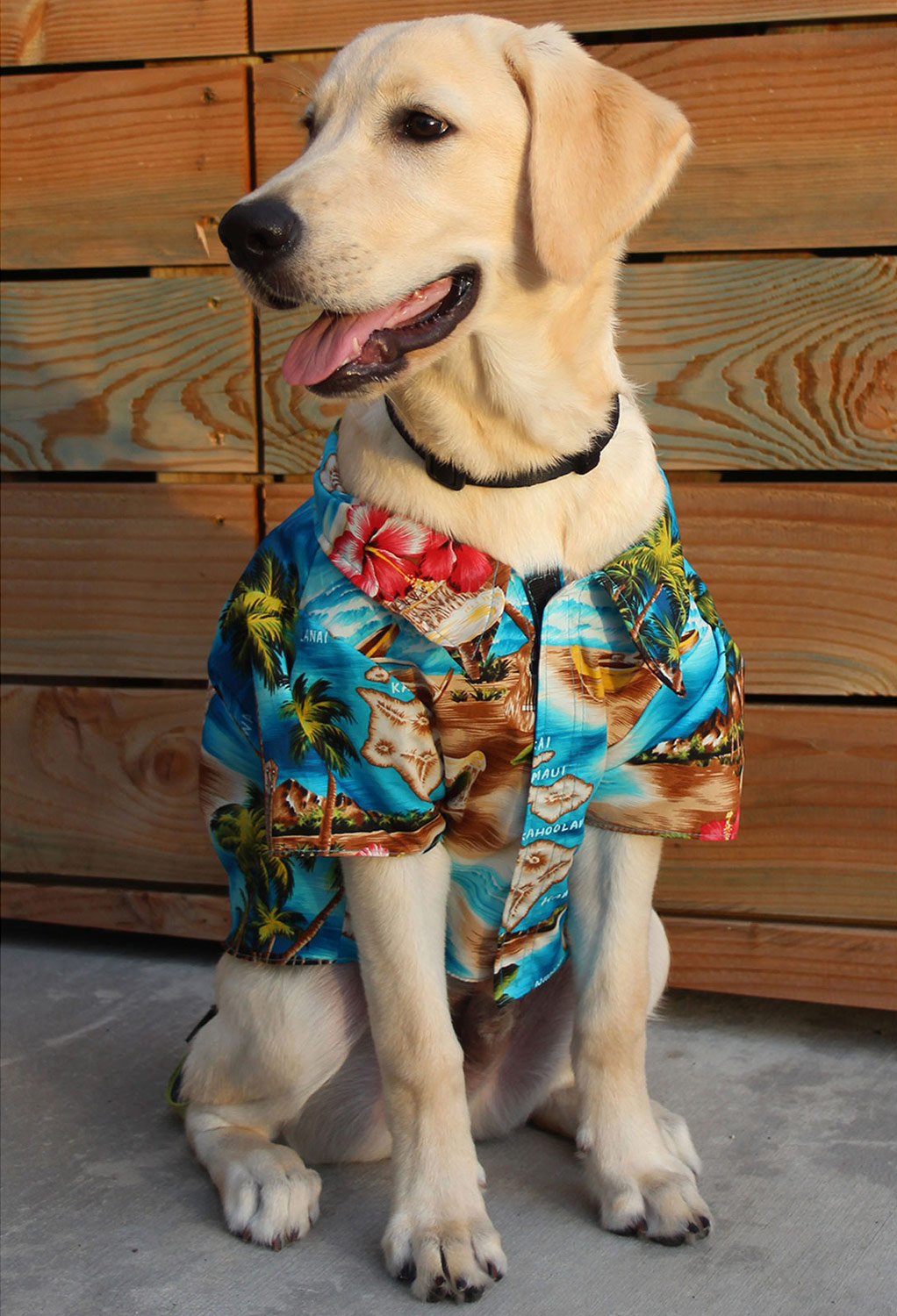 Pet Dog Cat Hawaiian Shirt Lei Hula Luau Fancy Dress Costume Outfit Clothes S-XL