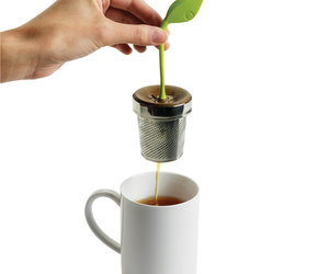Dancing Leaf Glass Teapot