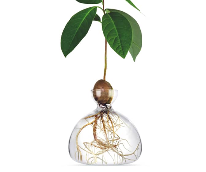 Wrap Vase / Planter