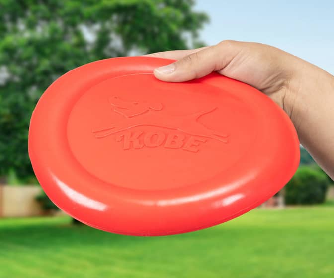 Bacon-Scented Flying Disc Toy For Dogs