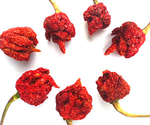 Bag of Dried Scorpion Peppers