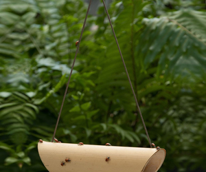 Bamboo Ladybug Feeder
