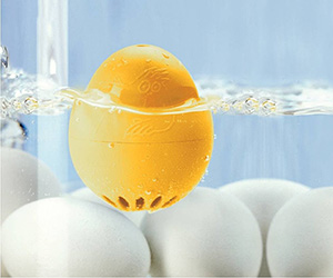 BeepEgg - Singing and Floating Egg Timer