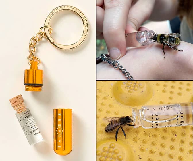 BeeVive - Portable Bee Revival Kit - Save a Bee!