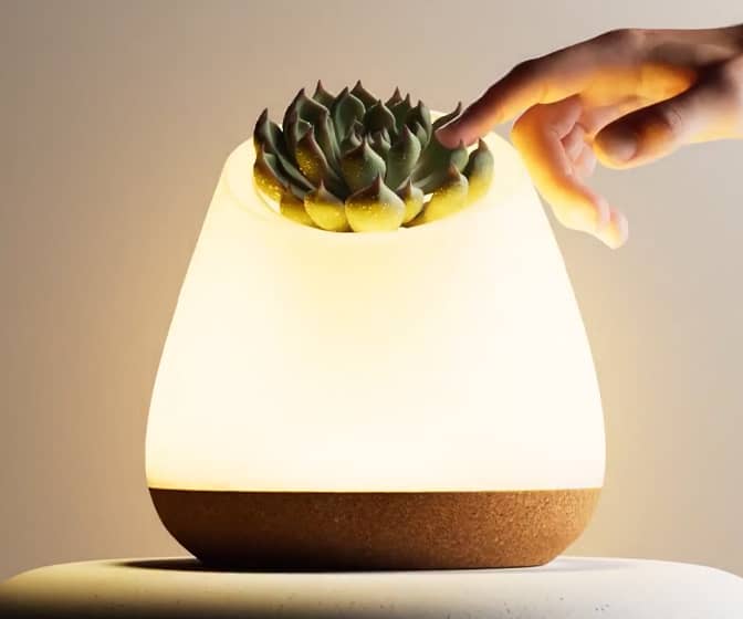 Bioo Lux Planter Lamp - Touch the Leaves to Turn it On/Off