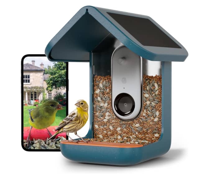 Bird Buddy - Solar Bird Feeder Smart Camera With A.I. Species Identifier