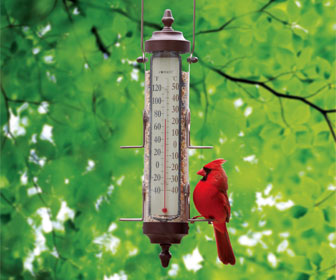 Backyard Bird Metal Watering Cans - Cardinal or Bluebird
