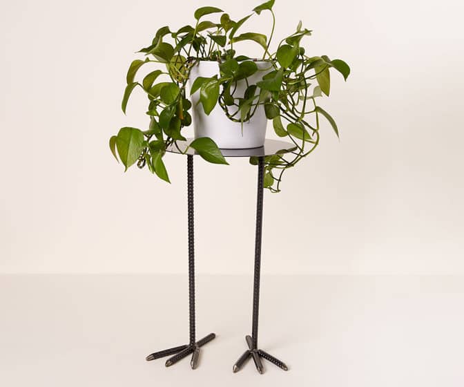 Bird Legs Plant Stand