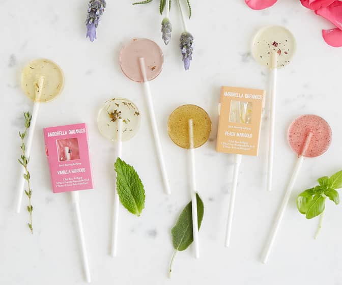 Blooming Lollipops - Plant the Seed-Filled Sticks to Grow Flowers and Herbs