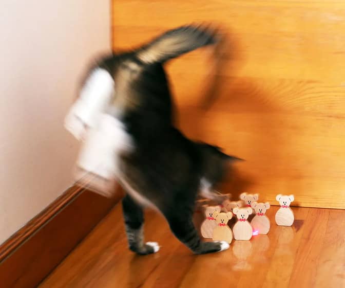Cat Bowling Game - 10 Wooden Pins and Laser Pointer - Cat Not Included