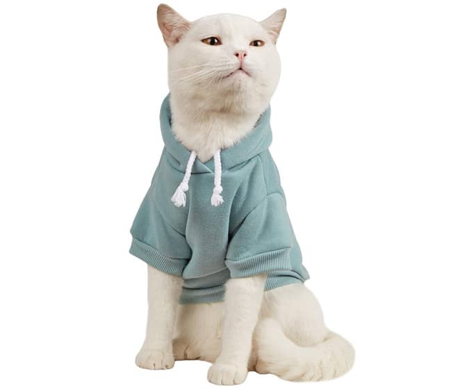 Photorealistic Cat Toilet Paper / Paper Towel Holder