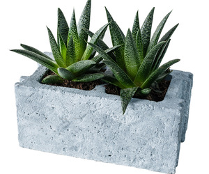 Cinder Block Cement Planter