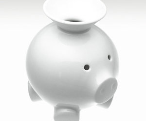 Pig Bank - Piggy Bank in the Form of an Actual Pig