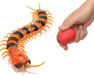 Creepy-Crawly Remote Control Centipede