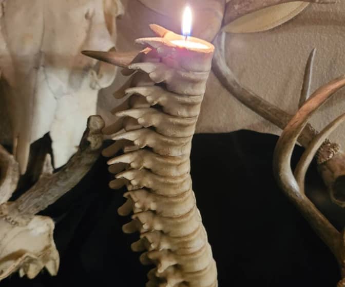 Creepy Spinal Column Candleholder