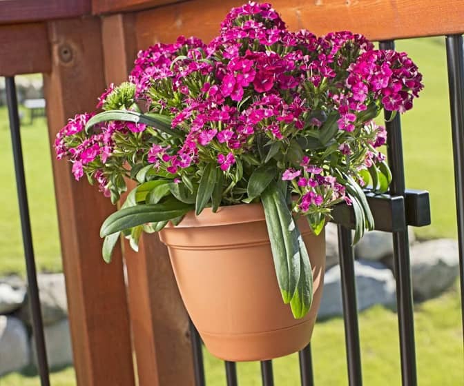 Deck Railing Round Planter Holders