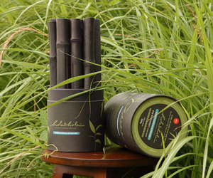 Andrea - Plant-Powered Air Purifier