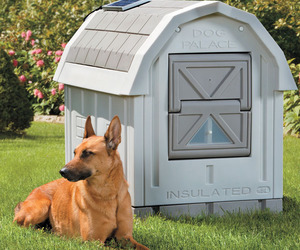 Luxurious Outdoor Dog Bed With Canopy