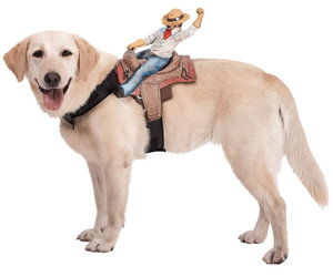 Dog Riders Pet Costumes