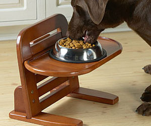 Doggie Dining Table