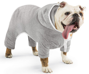 Doggie Jogging Sweatsuit With Hoodie
