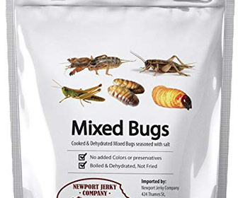 Edible Mixed Bugs