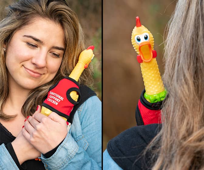 Emotional Support Rubber Chicken