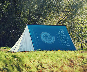 Lawson Blue Ridge Hammock Tent