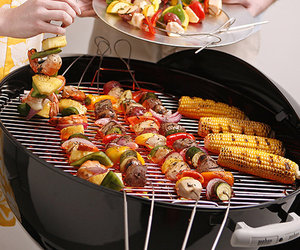 Fire Wire - Flexible Stainless Steel Grilling Skewers
