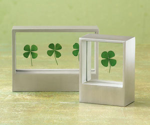 Framed Four-Leaf Clover - Luck of the Irish