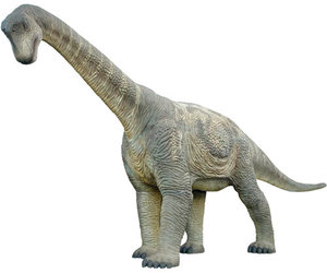 Full-Size Camarasaurus Dinosaur Replica