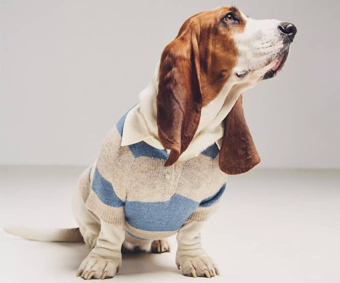 FURB Striped Dog Rugby Sweater