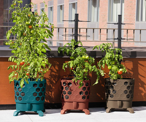 Gardener's Revolution - Self-Watering Tomato Planter With Support Rings