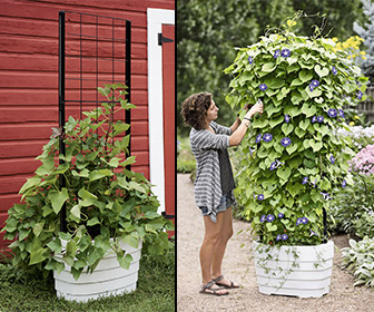Gardener's Revolution Self-Watering Vine Planter
