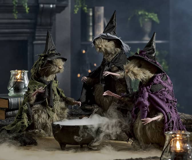 Giant Spooky Halloween Witch Rats