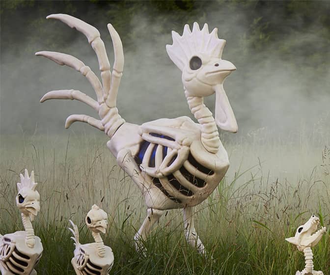 Gigantic 6-Ft Halloween Rooster Skeleton