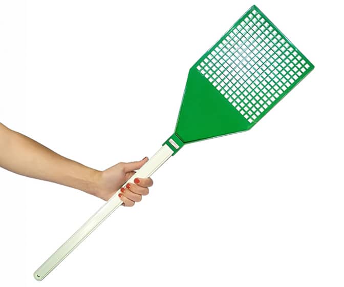 Gigantic Fly Swatter