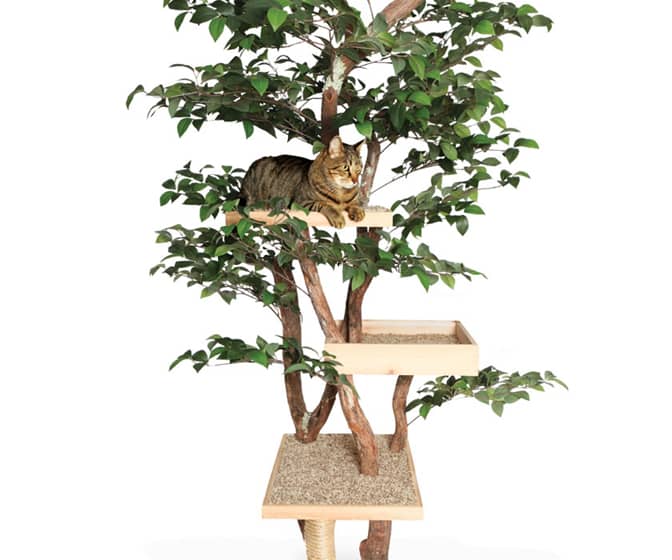 Handcrafted Natural Cat Treehouse